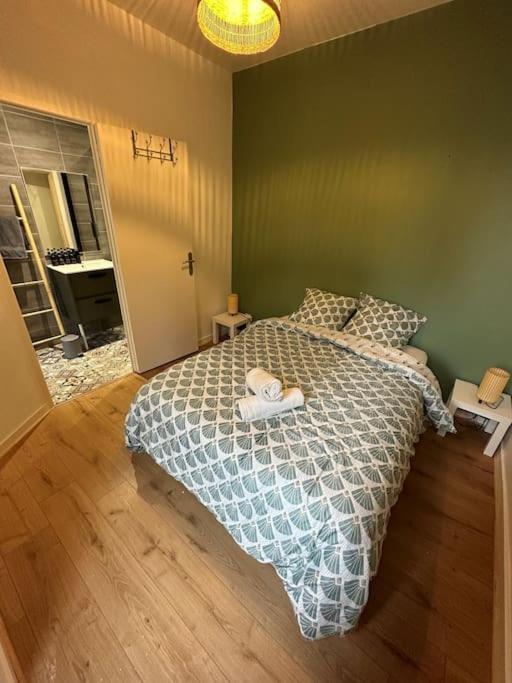 Chill And Work / Gare Tgv / Beau T2 Renove Apartment Rennes Luaran gambar